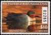 Colnect-6301-747-Green-Winged-Teal.jpg