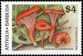 Colnect-3544-650-Red-Chanterelle.jpg