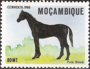 Colnect-1119-706-Thoroughbred-Equus-ferus-caballus.jpg