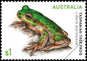 Colnect-5065-824-Tasmanian-Tree-Frog-Litoria-burrowsae.jpg