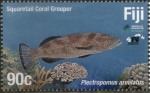 Colnect-6257-110-Squaretail-Coral-Grouper.jpg