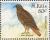 Colnect-1659-362-Red-tailed-Hawk.jpg