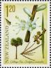 Colnect-1464-878-Cabbage-Tree---Cordyline-australis.jpg