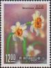 Colnect-3040-049-Chinese-sacred-lily-Narcissus-tazetta.jpg