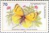 Colnect-1100-323-Butterfly-Colias-sieversi.jpg