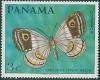 Colnect-1369-594-Butterfly-Mesosemia-tenera.jpg