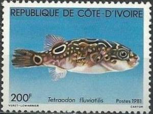 Colnect-1737-327-Green-Pufferfish-Tetraodon-fluviatilis.jpg