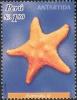 Colnect-1557-446-Starfish-Asteroidea-sp.jpg
