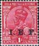 Colnect-1574-191-King-George-V---Overprint--IEF-.jpg