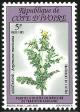 Colnect-4927-688-Argemone-mexicana.jpg