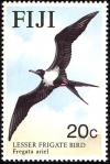 Colnect-1595-846-Lesser-Frigatebird-Fregata-ariel.jpg