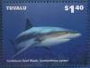 Colnect-6344-959-Caribbean-Reef-Shark.jpg