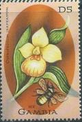 Colnect-2827-299-Cypripedium-irapeanum.jpg