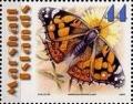 Colnect-3470-876-American-painted-lady.jpg