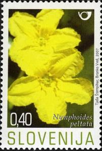 Colnect-715-075-Flowering-Aquatic-Plants.jpg