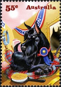 Colnect-670-291-Prizewinning-Dog.jpg
