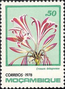 Colnect-1115-776-Crinum-delagoense.jpg