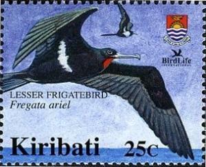 Colnect-2609-638-Lesser-Frigatebird-Fregata-ariel.jpg
