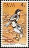 Colnect-2287-606-White-tailed-Shrike-nbsp-Lanioturdus-torquatus.jpg