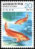 Colnect-2607-884-Golden-Mandarinfish-Siniperca-scherzeri.jpg