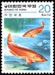 Colnect-2607-884-Golden-Mandarinfish-Siniperca-scherzeri.jpg
