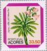 Colnect-185-875-Flower---Azorina-vidalii-HCWatson-Feer.jpg