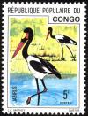 Colnect-1502-627-Saddle-billed-Stork-Ephippiorhynchus-senegalensis.jpg
