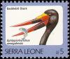 Colnect-1617-989-Saddle-billed-Stork-Ephippiorhynchus-senegalensis.jpg