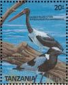 Colnect-1745-650-Saddle-billed-Stork-Ephippiorhynchus-senegalensis.jpg