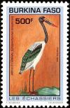 Colnect-2328-748-Saddle-billed-Stork-Ephippiorhynchus-senegalensis.jpg