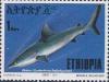 Colnect-3317-057-Grey-Reef-Shark-Carcharhinus-amblyrhynchos.jpg