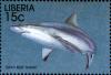 Colnect-3977-587-Gray-Reef-Shark-Carcharhinus-amblyrhynchos.jpg