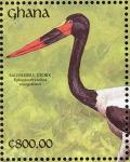 Colnect-1718-867-Saddle-billed-Stork-Ephippiorhynchus-senegalensis.jpg