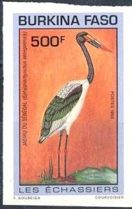Colnect-2631-905-Saddle-billed-Stork-Ephippiorhynchus-senegalensis.jpg