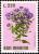 Colnect-1874-666-New-York-Aster-Aster-dumosus.jpg