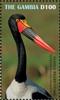 Colnect-5726-921-Saddle-billed-Stork-Ephippiorhynchus-senegalensis.jpg