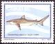 Colnect-2392-608-Dusky-Shark-Carcharhinus-obscurus.jpg