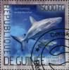 Colnect-3553-892-Grey-Reef-Shark-Carcharhinus-amblyrhynchos.jpg