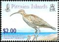 Colnect-2517-364-Bristle-thighed-Curlew-Numenius-tahitiensis-on-rock.jpg