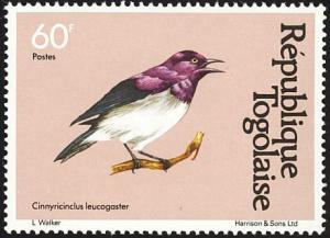 Colnect-1507-120-Violet-backed-Starling-Cinnyricinclus-leucogaster.jpg