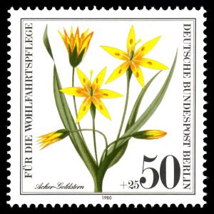 Stamps_of_Germany_%28Berlin%29_1980%2C_MiNr_630.jpg