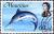 Colnect-760-709-Blue-Marlin-Makaira-nigricans.jpg