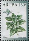 Colnect-6274-999-Spearmint-Mentha-spicata.jpg