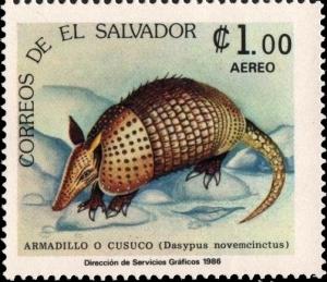 Colnect-2680-152-Nine-banded-Armadillo-Dasypus-novemcinctus.jpg