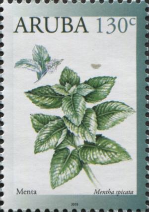 Colnect-6274-999-Spearmint-Mentha-spicata.jpg
