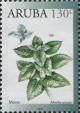 Colnect-6274-999-Spearmint-Mentha-spicata.jpg
