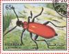 Colnect-1406-428-Longhorn-Beetle-Cerambycidae.jpg