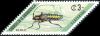 Colnect-2266-830-Longhorn-Beetle-Elaterida-sp.jpg
