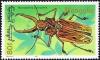 Colnect-4961-923-Macrodontia-Longhorn-Beetle-Macrodontia-cervicornis.jpg
