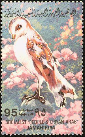 Colnect-1648-468-Western-Barn-Owl-Tyto-alba.jpg